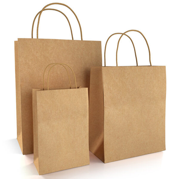 shopping bag 5 1 1