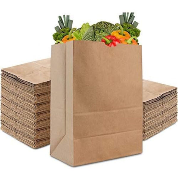 Brown Paper Grocery Bags for Food Shopping